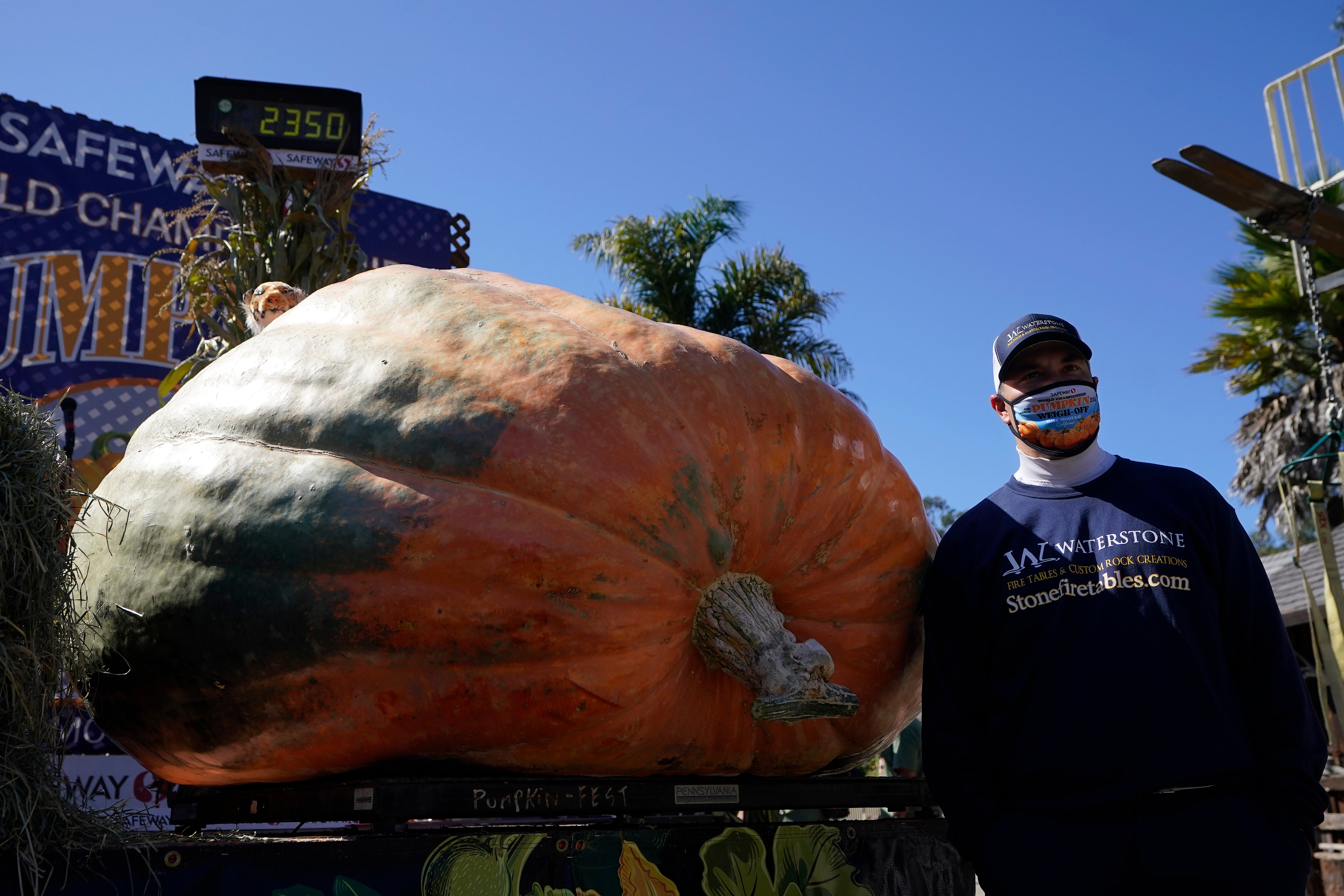 Giant Pumpkin Winner