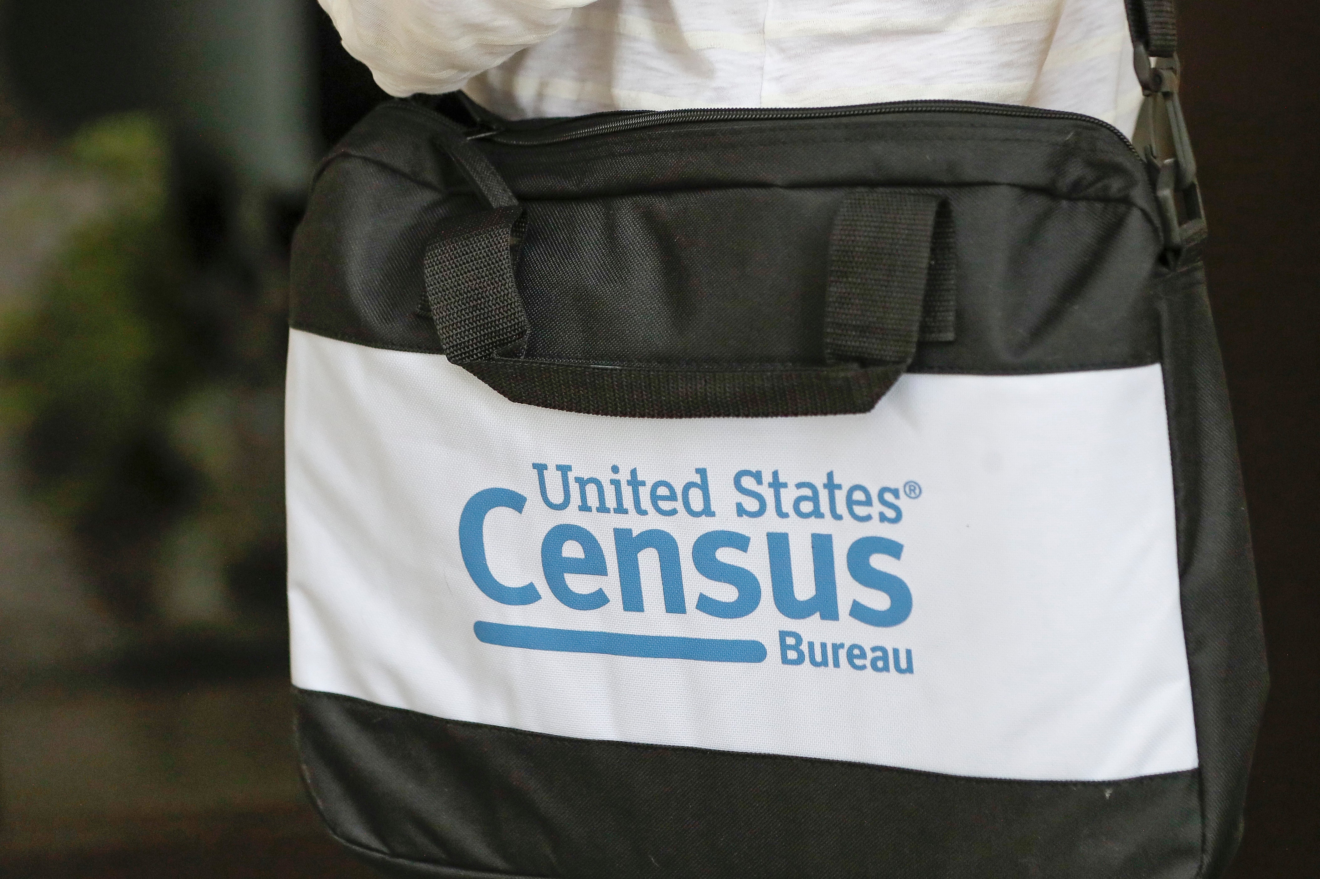 2020 Census Door Knockers