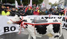 Polish farmers protest planned animal welfare law