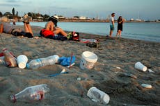 World’s biggest plastic creators join call for UN ocean plastic treaty