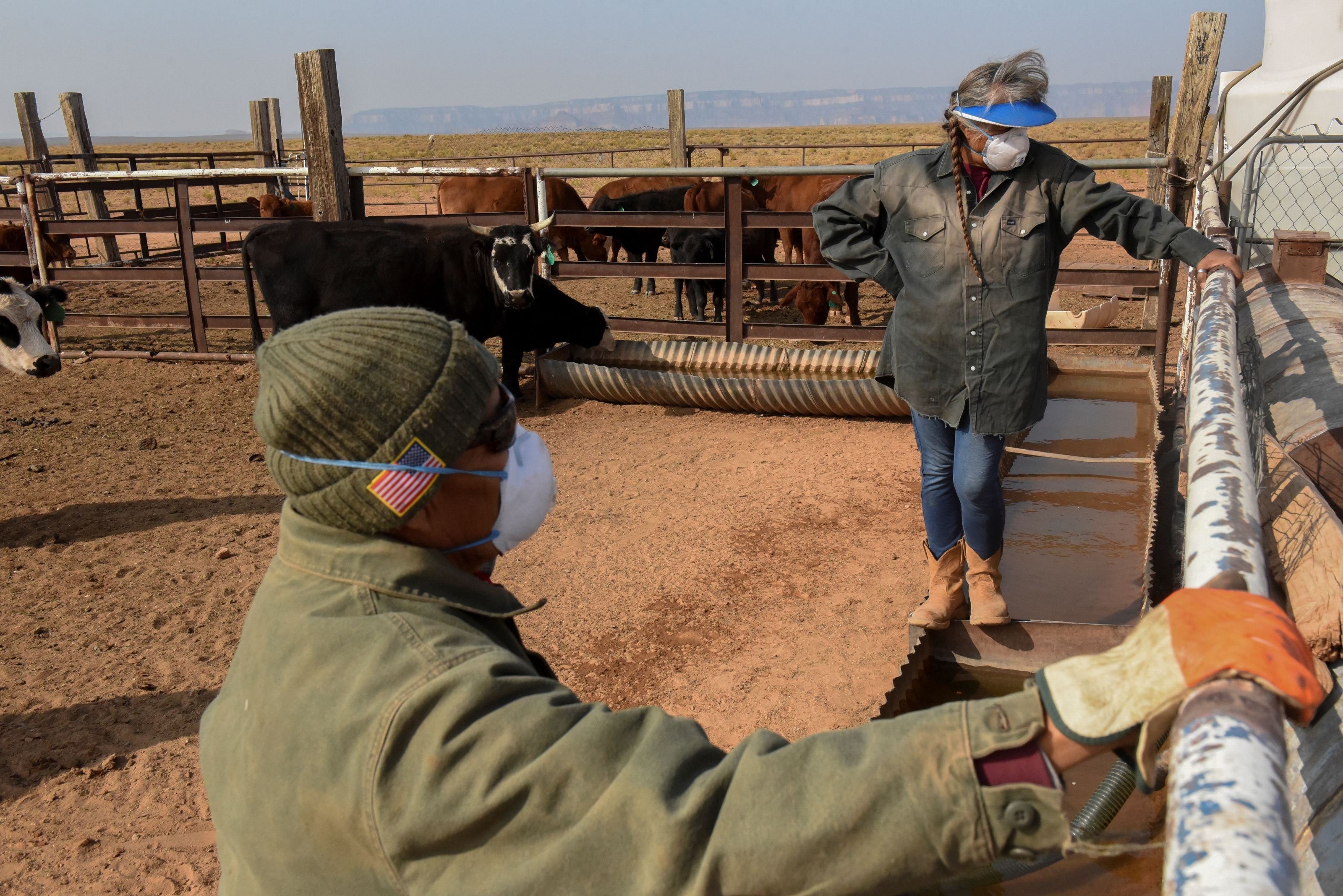 Maybelle and Leonard Sloan give water to their cattle