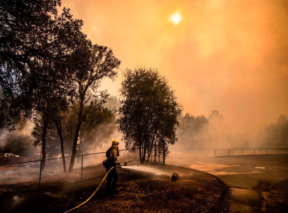 La Tierra ha tenido 44 septiembres consecutivos más calurosos que el promedio del siglo XX y 429 meses seguidos sin un mes más frío de lo normal.