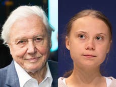 Sir David Attenborough and Greta Thunberg are hosting a virtual chat