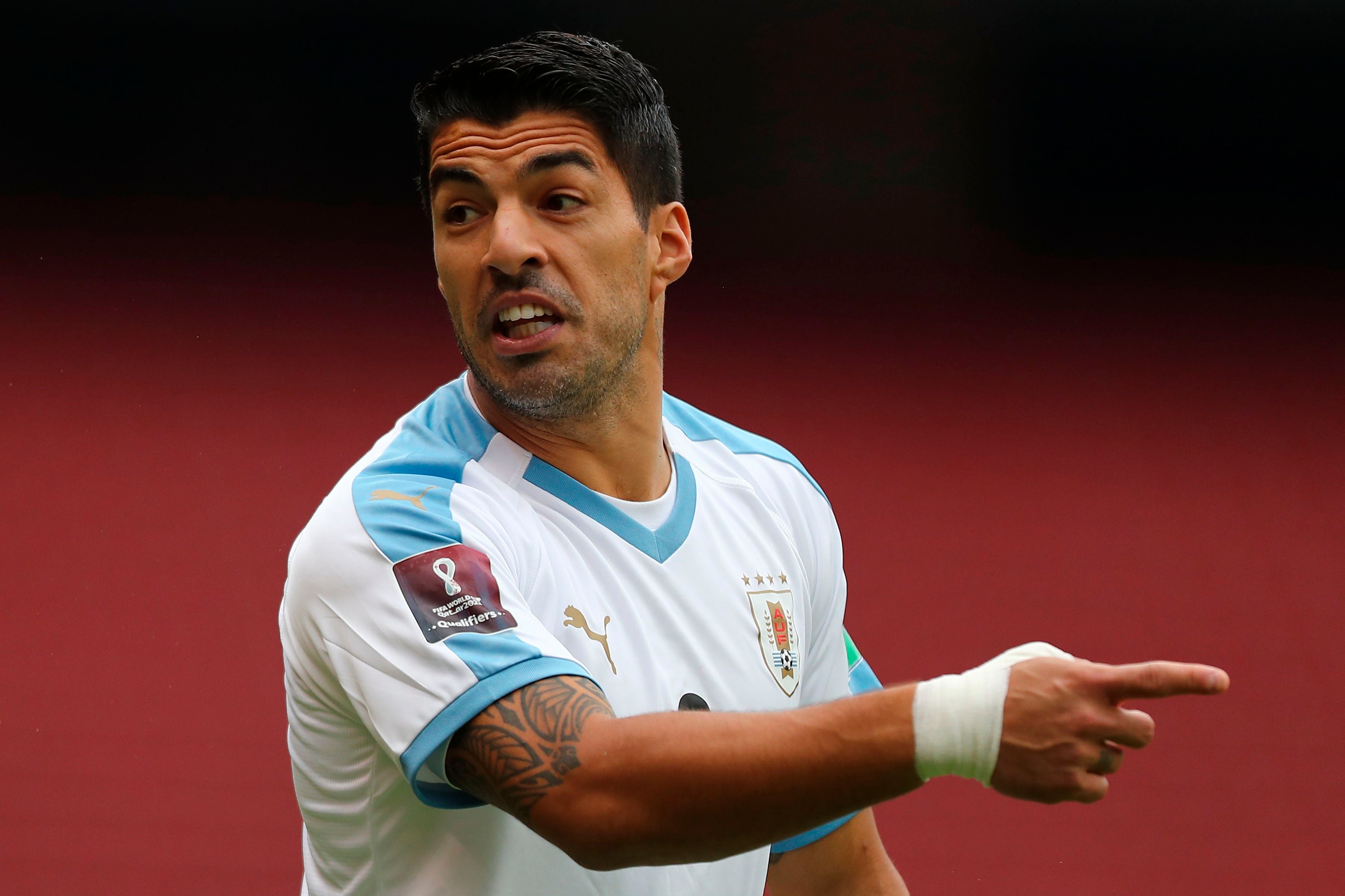 Arsene Wenger reveals truth behind Arsenal’s ‘ludicrous' Luis Suarez bid