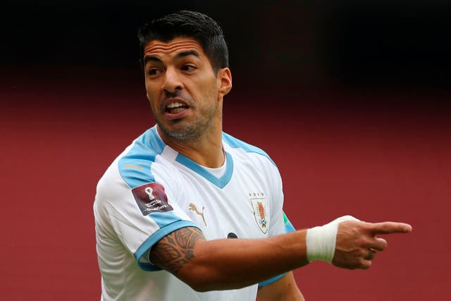 Arsene Wenger concede the offer for Luis Suarez was ludicrous