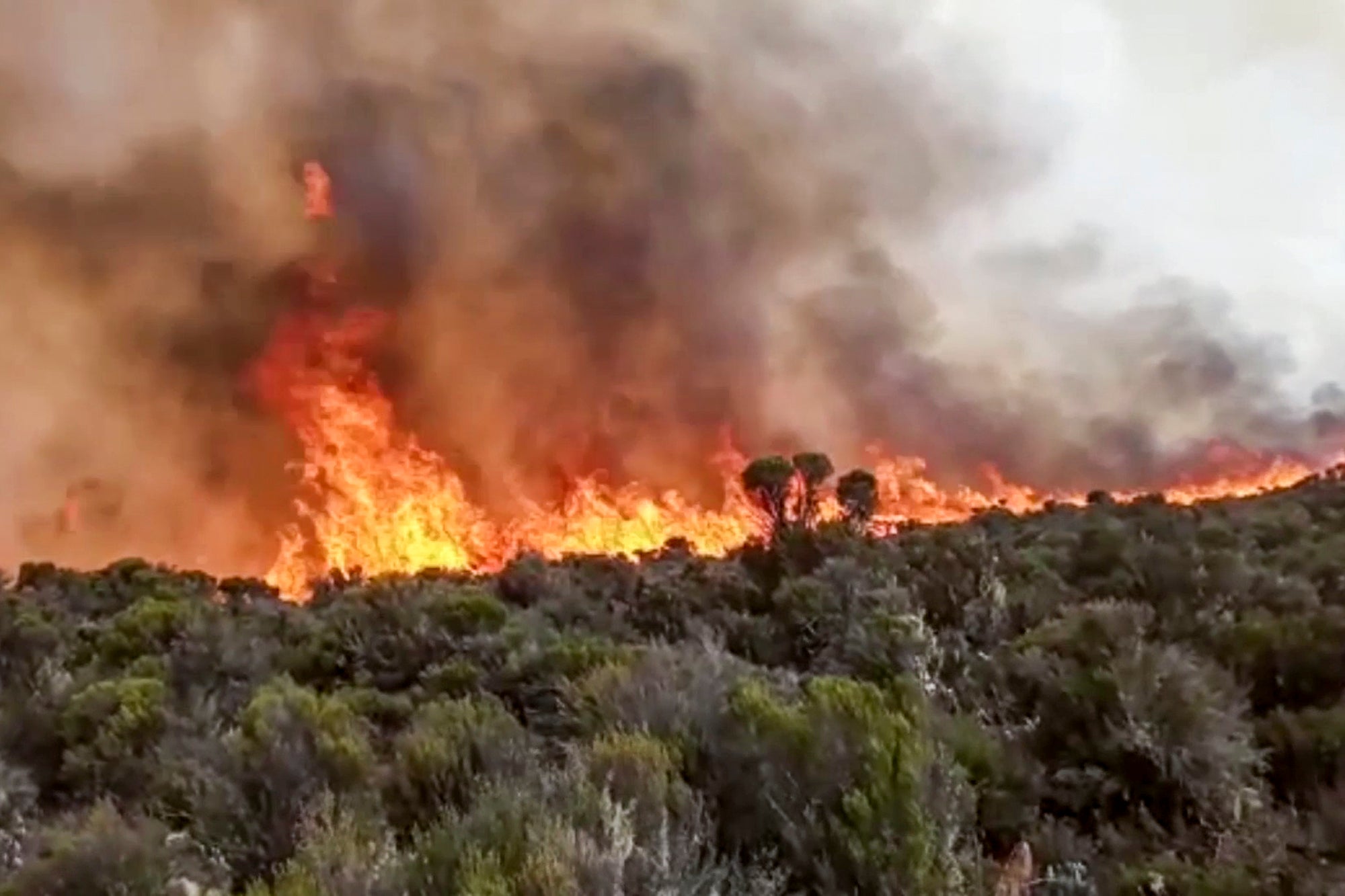 Tanzania Kilimanjaro Fires