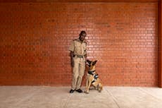 The detection dogs sniffing out wildlife crime 