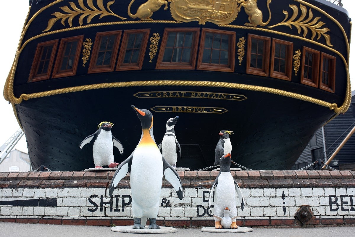 SS Great Britain pictured with Falklands penguins