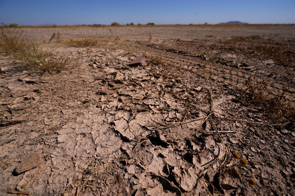 Погода засуха. Засуха Узбекистан. Экологические катастрофы засуха. Засуха 2010 года. Засуха в США.