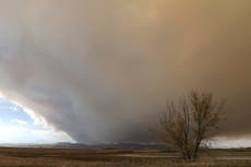 Winds push Colorado wildfire to largest in state history