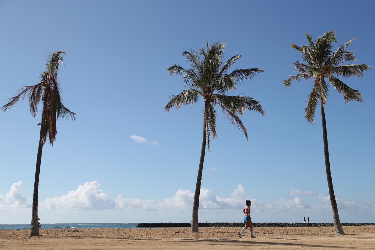 Family Turned Away From Hawaii Despite Having Negative Covid 19 Tests The Independent