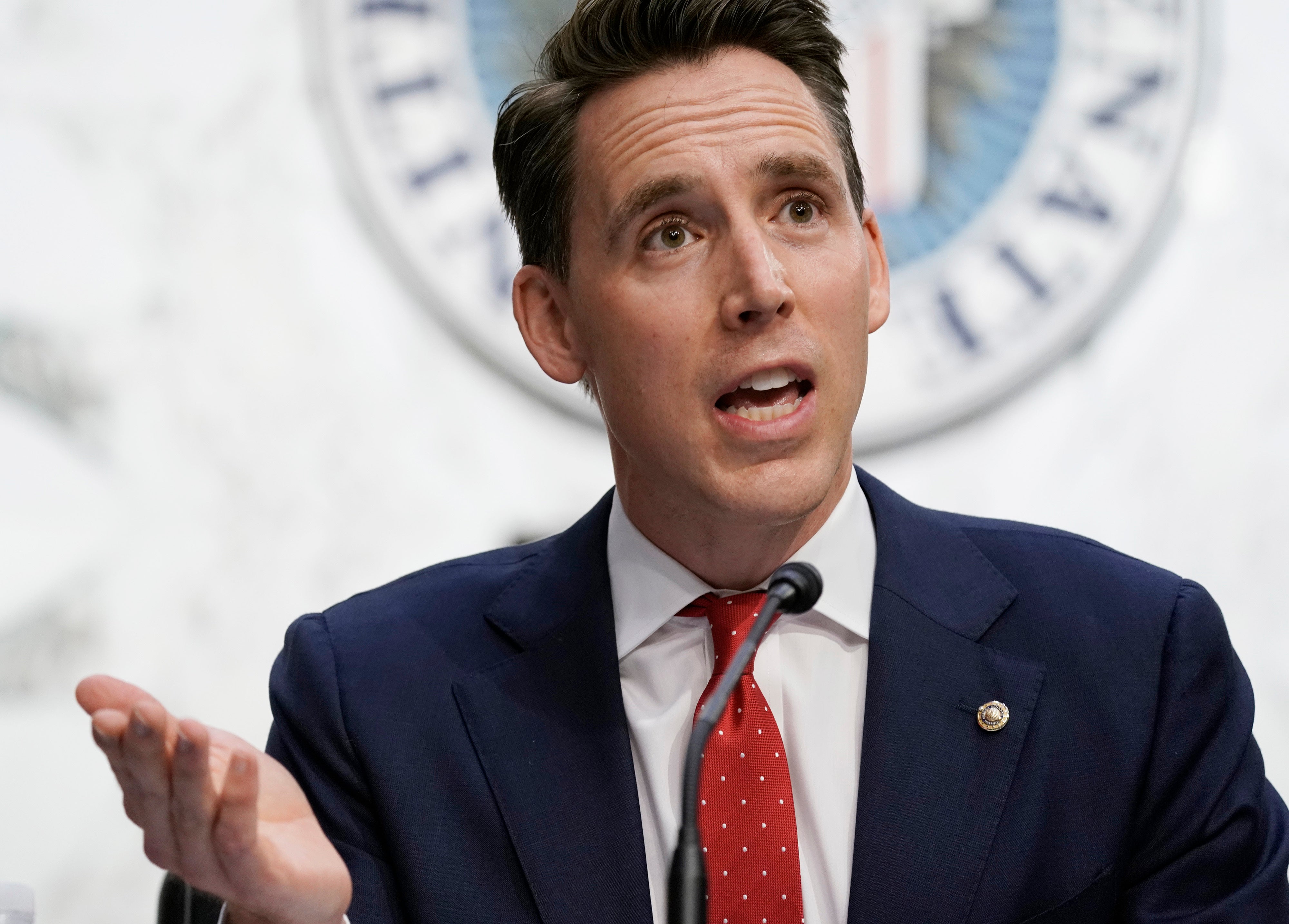 Sen Josh Hawley helped to urge the crowd to attack the US Capitol on January 6, an expert says