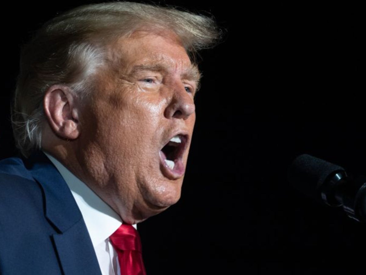 Maligned Belittled Harassed Insulted New Lincoln Project Campaign Ad Calls Out Trump S Treatment Of Women The Independent