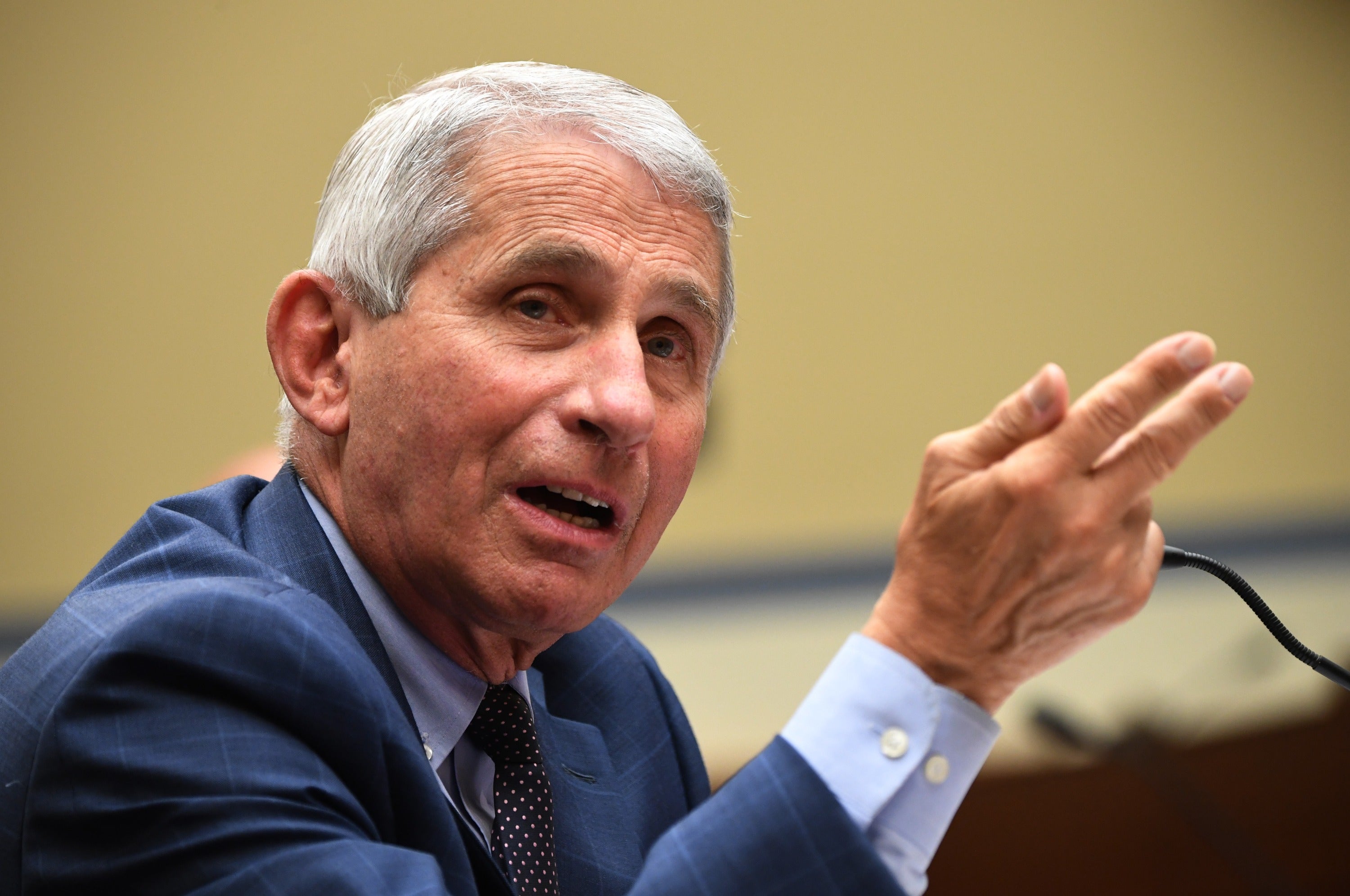 Dr Anthony Fauci, head of the National Institute of Allergy and Infectious Diseases, has found his approval rating rise during the pandemic