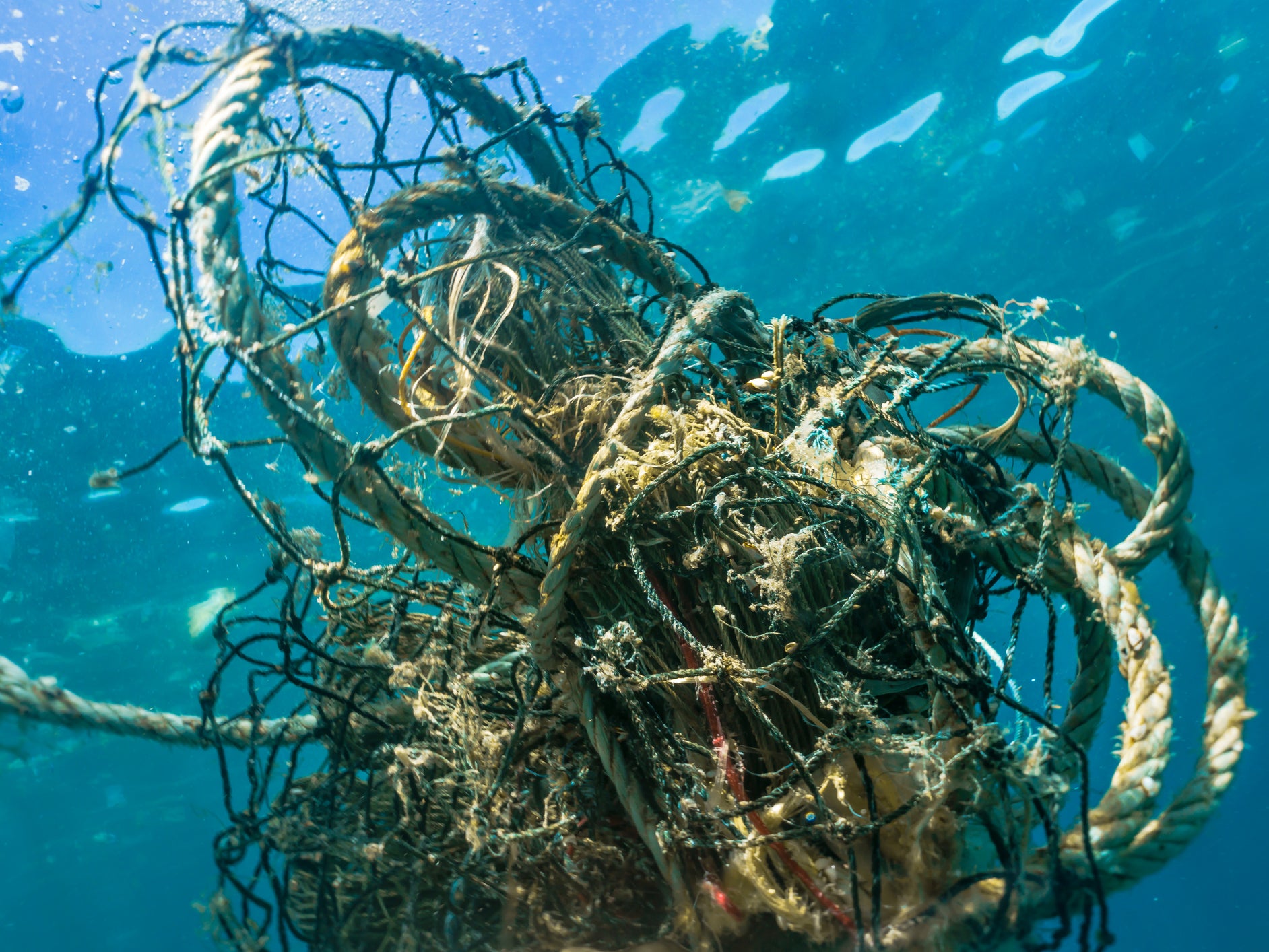 Lost, abandoned or broken nets, lines and ropes make up at least 10 per cent of marine litter, according to a new report