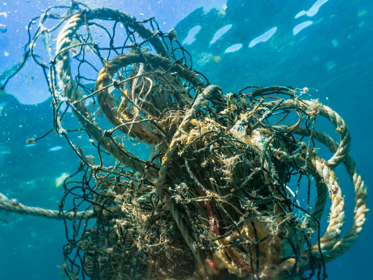 Up to one million tonnes of 'deadly' fishing gear left in ocean each year, WWF warns | The Independent Up to one million tonnes of 'deadly' fishing gear left in ocean each year, WWF warns | The Independent