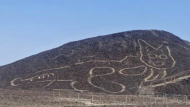 A giant cat figure etched into a slope at the Unesco World Heritage site in the desert near the town of Nasca in southern Peru