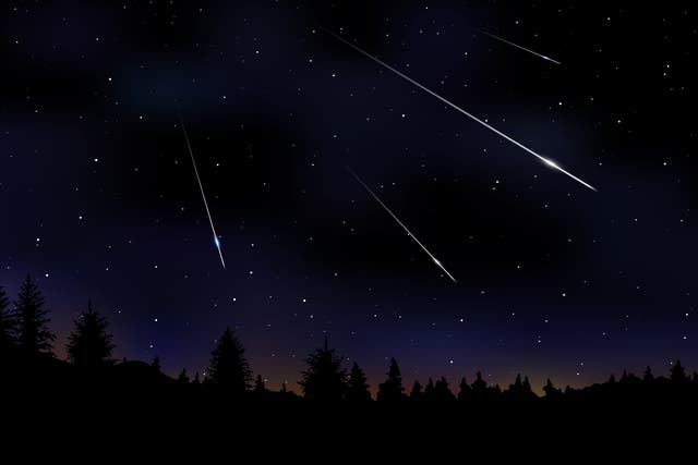 The Orionid meteor shower will peak on 21 October 2020