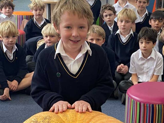 Seven-year-old Tasker Williams’ whopping pumpkin was the heaviest in the Monmouth School Boys’ Prep competition, weighing an impressive 79kg