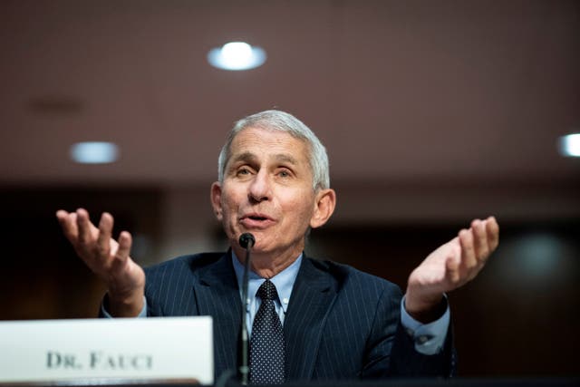 Anthony Fauci, director of the National Institute of Allergy and Infectious Diseases, speaks during a Senate Health, Education, Labor and Pensions Committee hearing in Washington, DC on 30 June 2020