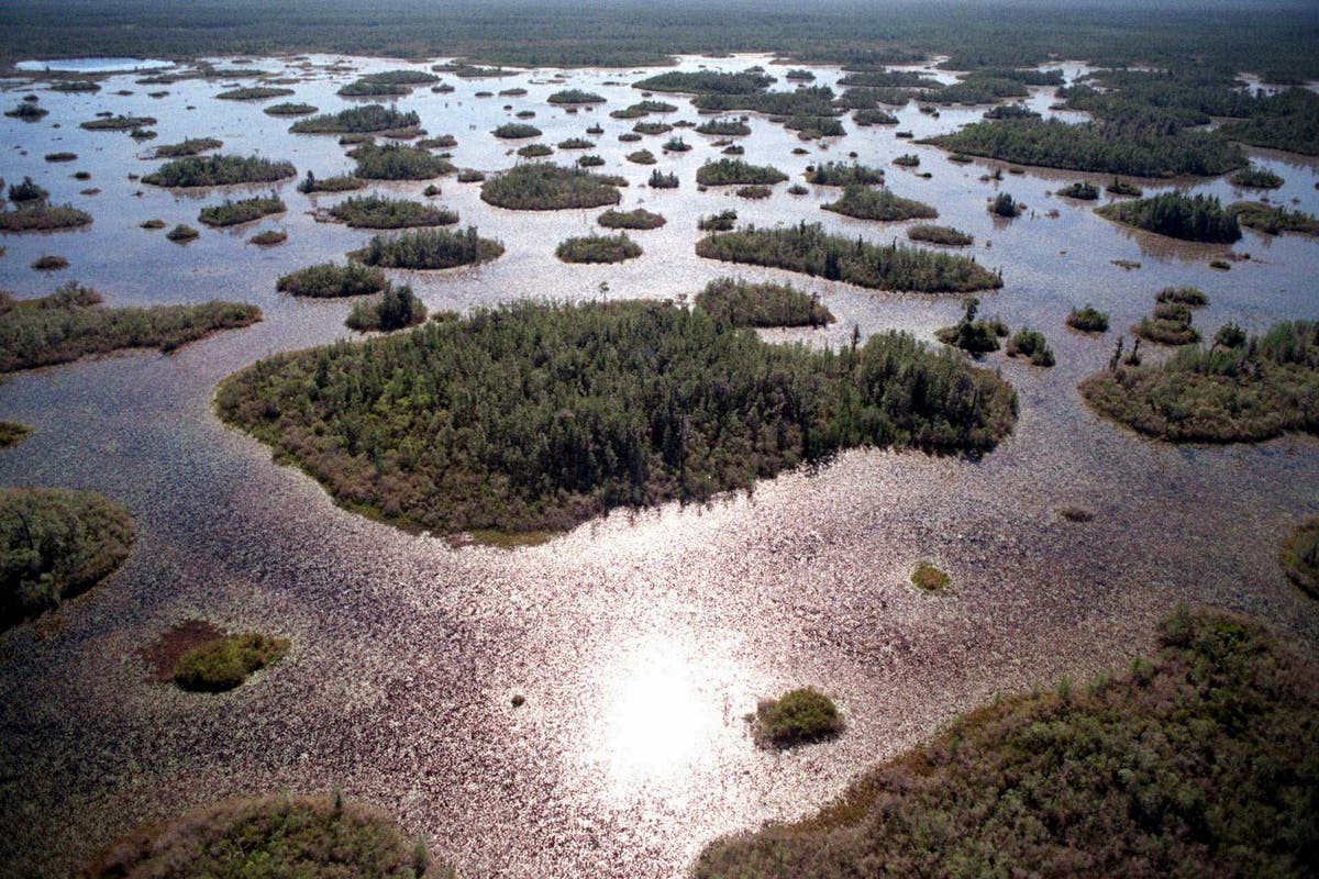 Trump environmental rollback spurs mining near Okefenokee