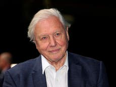 David Attenborough warns pandemic is threat to global climate action