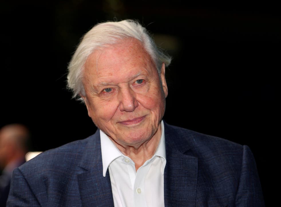 ‘In the end it has to be a political decision to save the world,’ Sir David Attenborough told audiences watching the Wildscreen virtual film festival