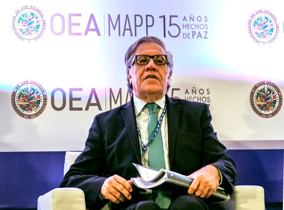 Almagro denunció un fraude electoral en Bolivia en 2019 que no fue comprobado