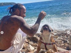 Hamilton criticised after putting pet dog on ‘fully vegan diet’