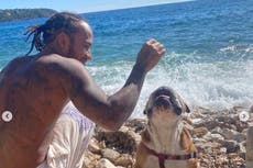 Hamilton criticised after putting pet dog on ‘fully vegan diet’