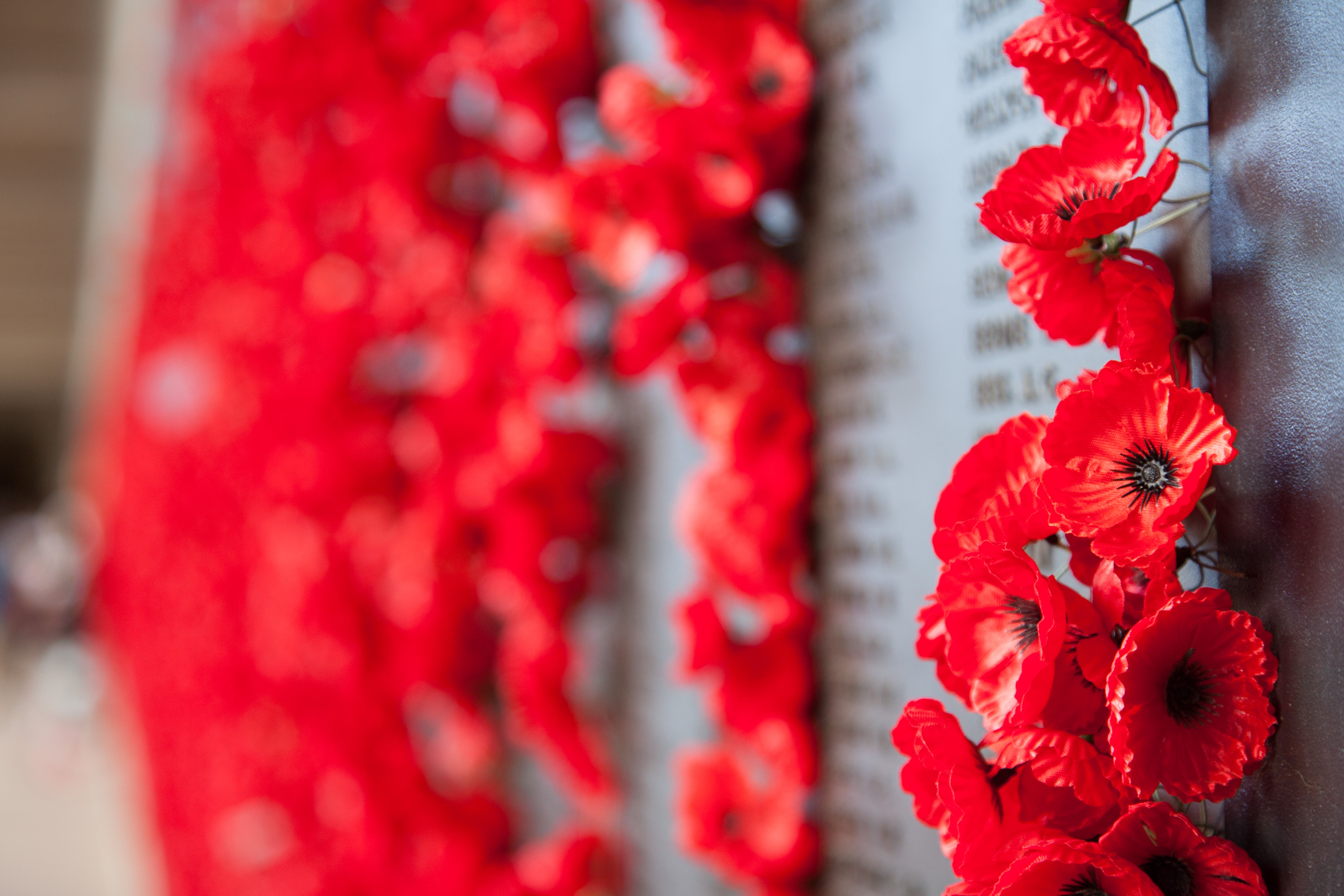 Remembrance Day: Where does the money you spend on Poppy Appeal actually go?