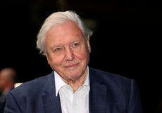 David Attenborough tops poll as figure public wants to lead UK