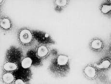 Coronavirus vaccine provides ‘strong’ immune response, analysis finds