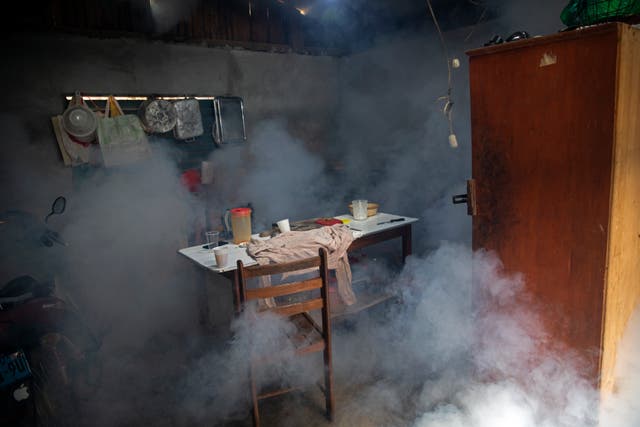 Virus Outbreak Peru Dengue
