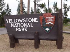 Man charged with damaging Yellowstone Park after digging for treasure
