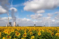 AP FACT CHECK: Trump's skewed indictment of wind power