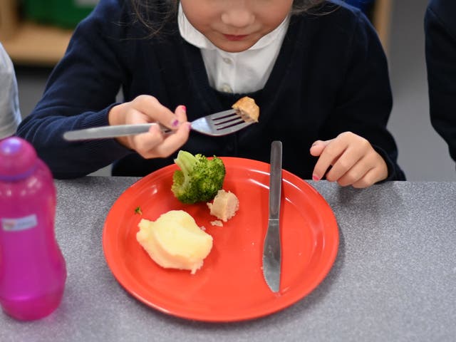MPs voted against extending the free school meals scheme until Easter