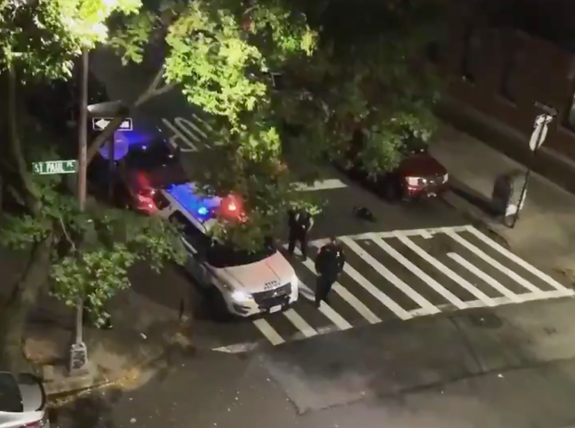 An NYPD officer on Saturday night used his patrol car’s loudspeaker to yell: ‘Trump 2020!'