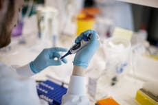 Oxford vaccine trials offer hope for elderly
