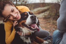 Vets reveal heartbreaking reality of putting pets down