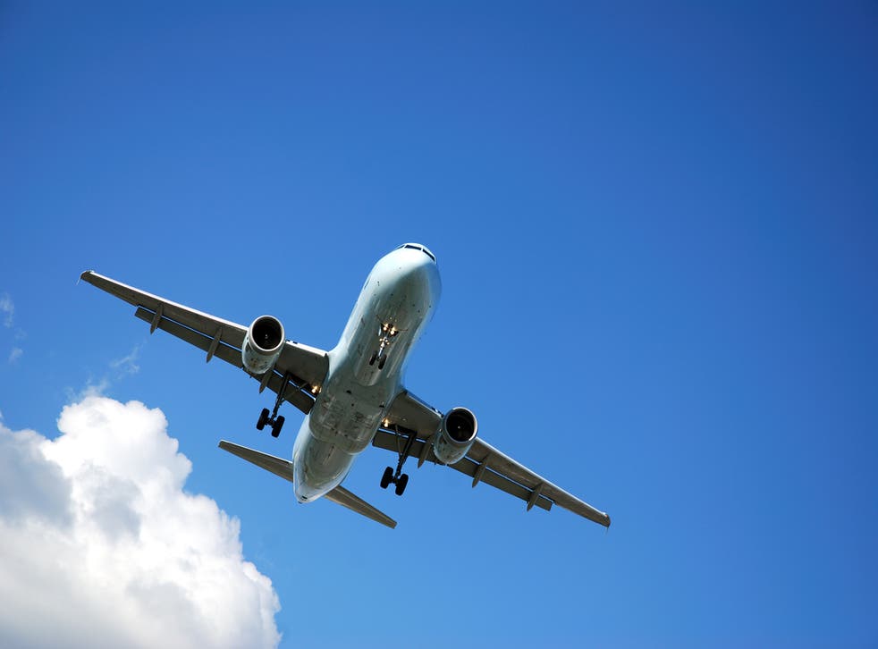 Flying is safer than 'grocery shopping or eating out', says Harvard report | The Independent