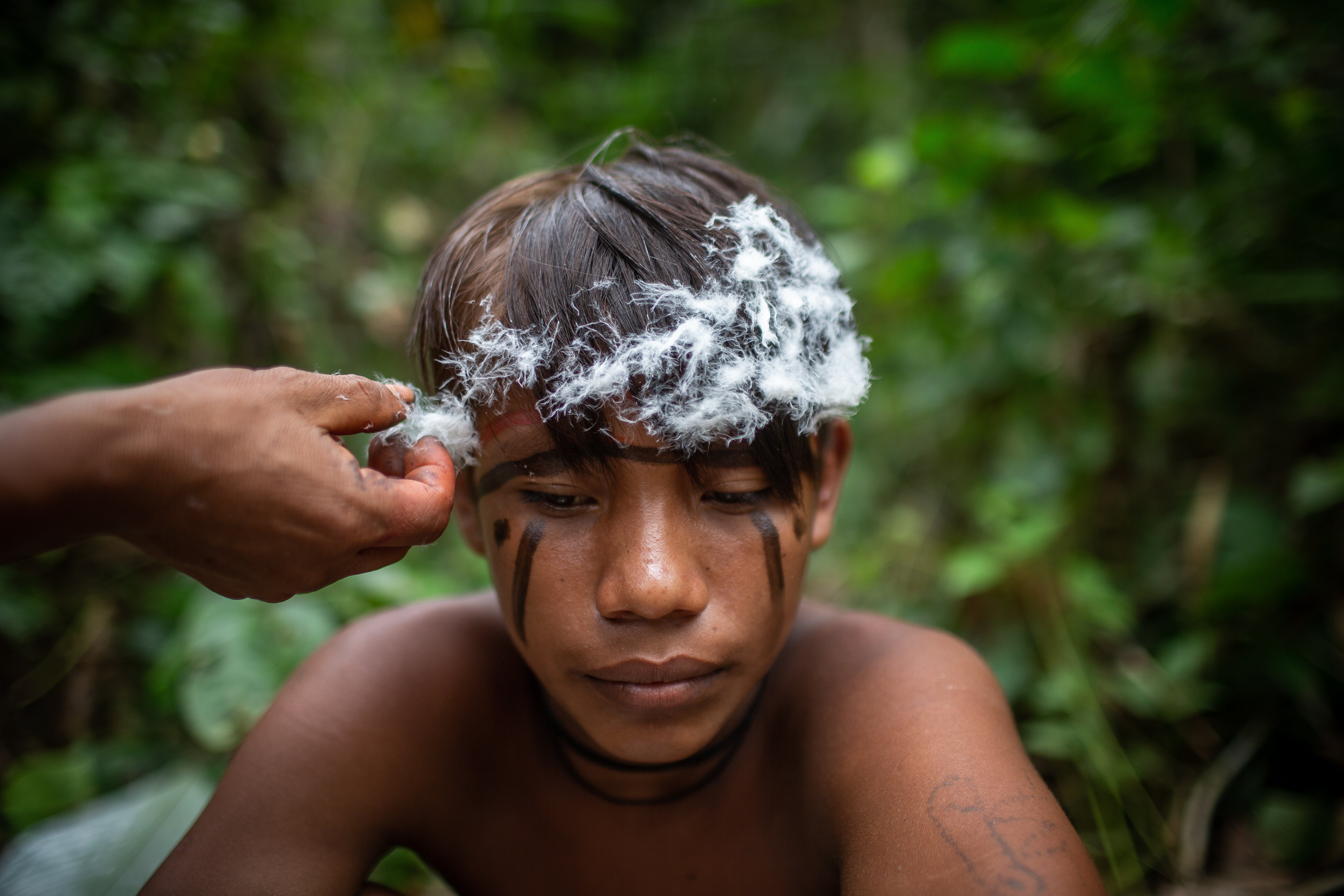Yanomami being prepared with adornments