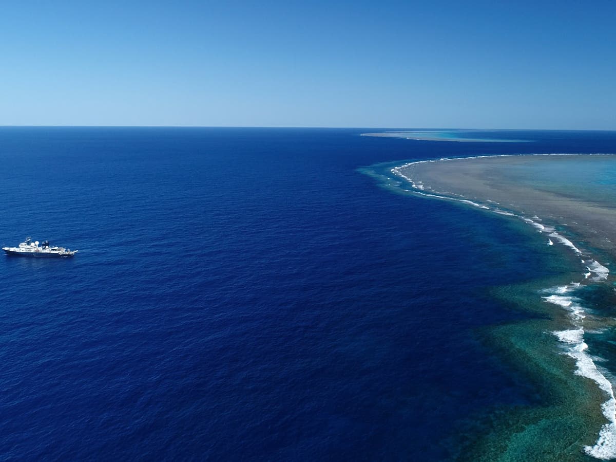 Coral reef taller than Empire State Building is first discovered in Australia’s Great Barrier Reef for 120 years