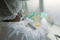  US halts study into promising Covid antibody treatment