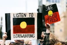 Sacred Aboriginal 'directions tree' bulldozed to make a highway