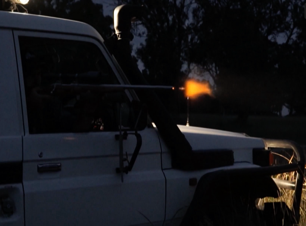 Shots being fired at a kangaroo from a car at night