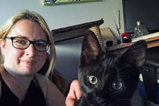 Meet the moggies from the Alternative Cat Awards