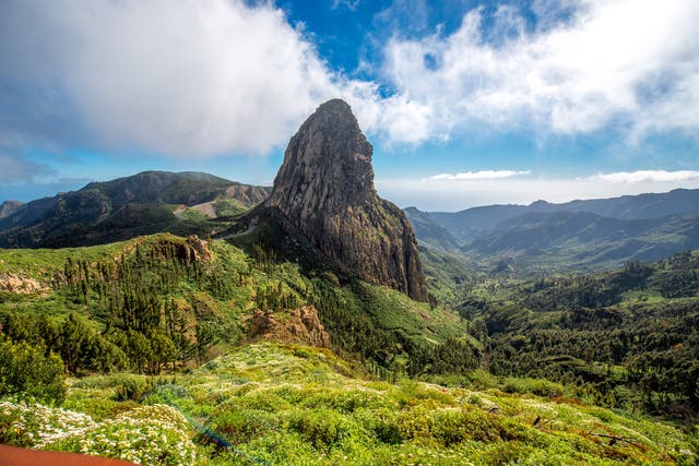 Take a hike and explore beauty spots like Garajonay National Park on foot