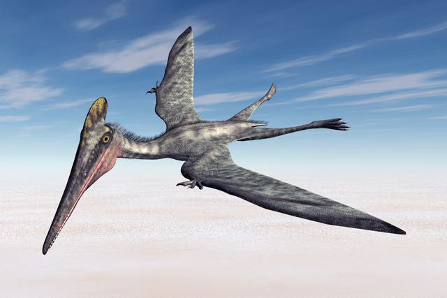 Pterosaurs first emerged as flying creatures around 245 million years ago during the Early Triassic period