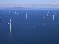 Scotland ‘to power 8 million homes by offshore wind over next decade'